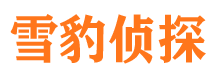 龙安捉小三公司